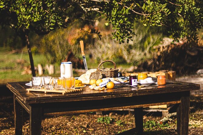 Organic Orange Picking & Jam Making with Farm-to-Table Lunch - Turning fresh fruit into marmalade