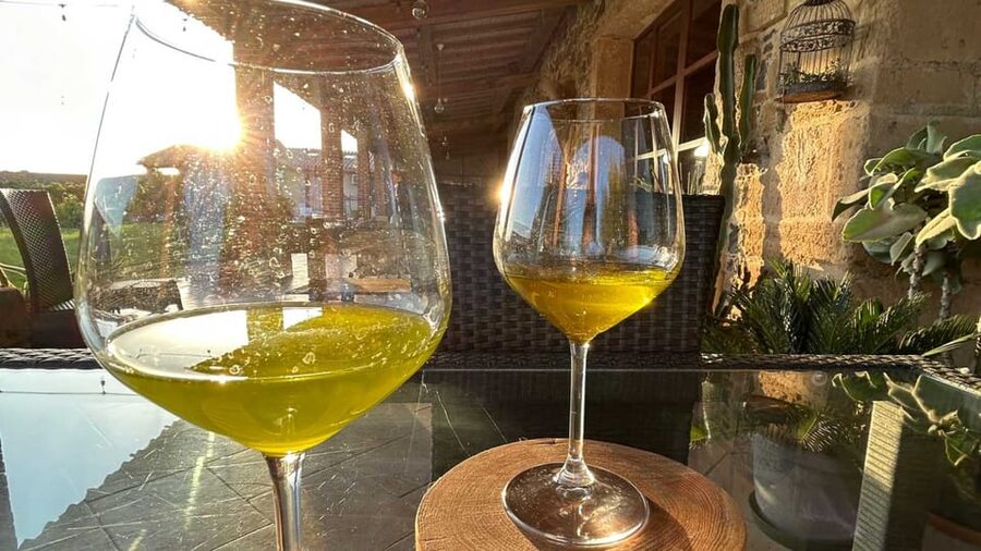 Oristano: visit a farm with oil tasting - Why this Oristano olive farm visit is worth your time