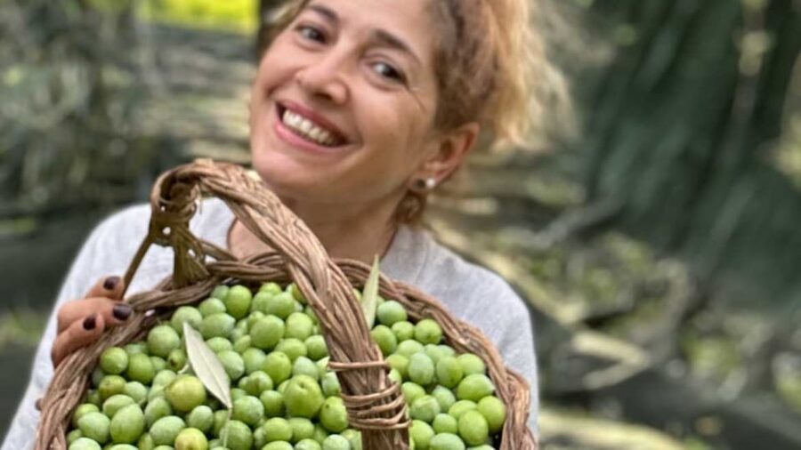 Oristano: visit a farm with oil tasting - Pairing Sardinian oils with a farm tasting