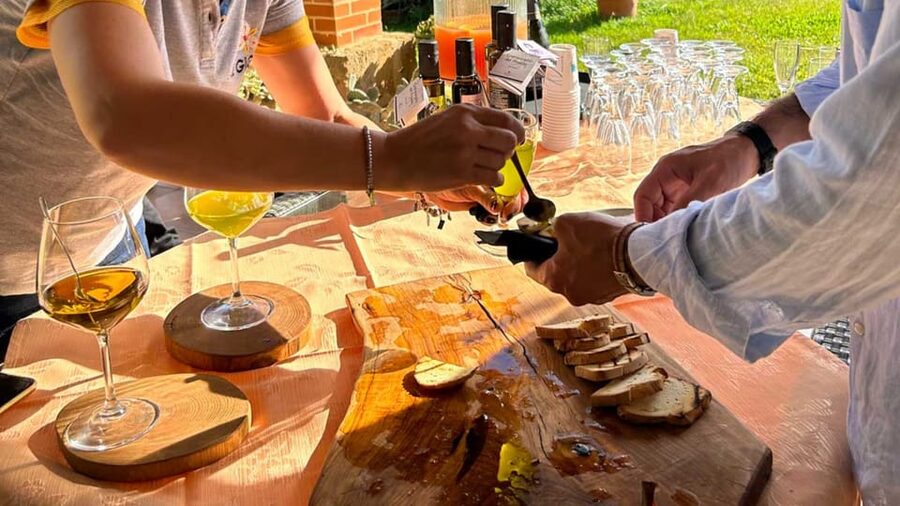 Oristano: visit a farm with oil tasting - Under the ancient olive trees with Anna and Antonella