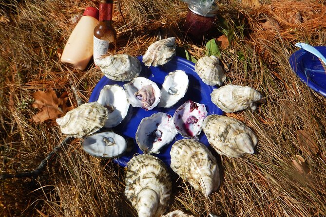Oyster Farm & Complimentary Tasting Sea Kayak Tour in Casco Bay - Why the oyster tasting makes this Casco Bay trip different