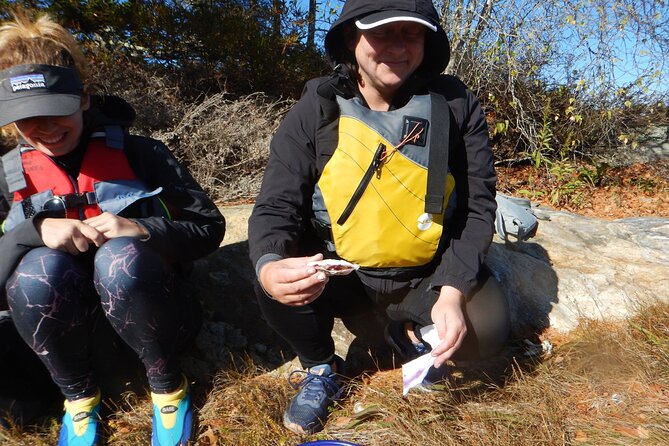 Oyster Farm & Complimentary Tasting Sea Kayak Tour in Casco Bay - At Mere Point Oyster Company or Love Point Oysters