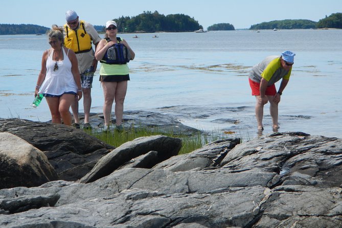 Oyster Farm & Complimentary Tasting Sea Kayak Tour in Casco Bay - Kayak choice, effort, and comfort