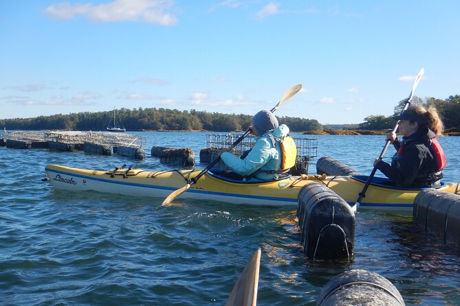 Oyster Farm & Complimentary Tasting Sea Kayak Tour in Casco Bay - Is $99 a fair price?