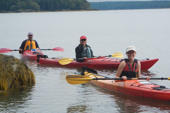 Oyster Farm & Complimentary Tasting Sea Kayak Tour in Casco Bay - Meeting Alice at 8:15am in Brunswick