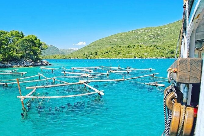 Oyster farm experience / Private day trip from Dubrovnik - From Dubrovnik to the oyster grounds