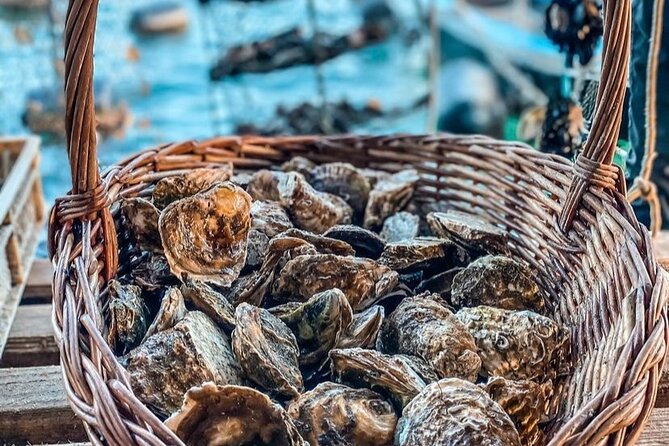 Oyster farm experience / Private day trip from Dubrovnik - Booking details worth knowing