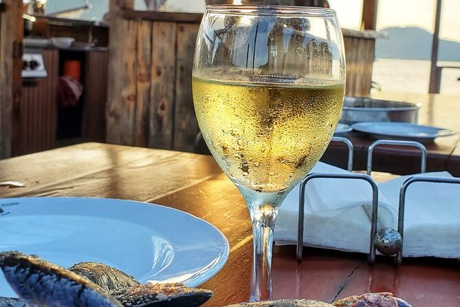Oyster farm experience / Private day trip from Dubrovnik - Should you book the Dubrovnik oyster farm experience?