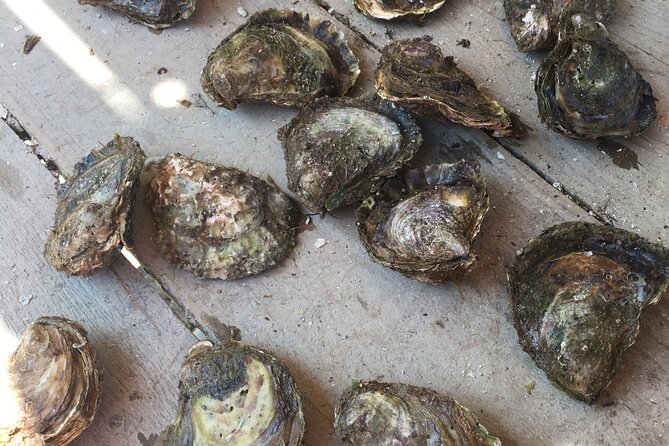 Oyster Farm, Ston and Winery Tour - Is $178.26 a fair price?