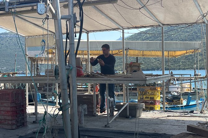 Oyster Farm, Ston and Winery Tour - Final call: book it for the food, not just the walls