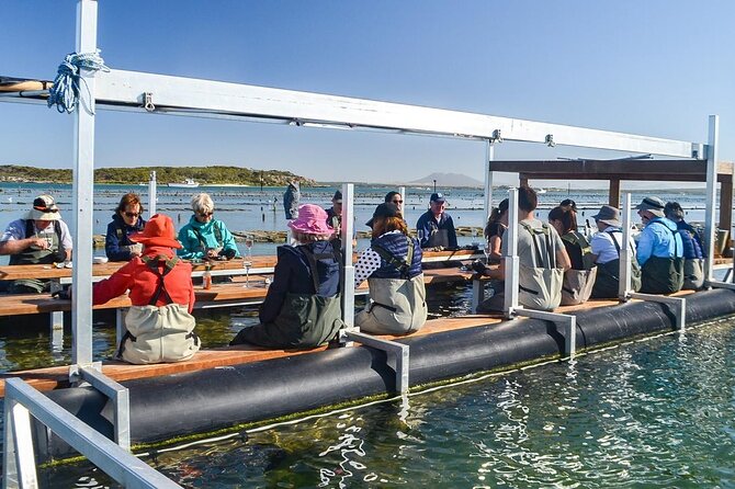 Oyster Farm Tour with Hotel Pick-up and return from Port Lincoln - Key points to know before you book