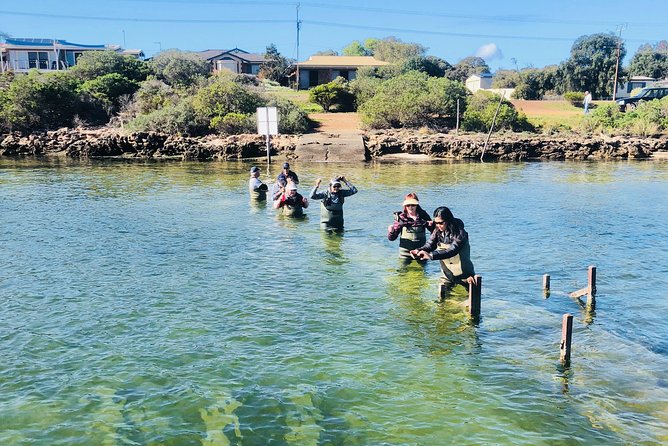Oyster Farm Tour with Hotel Pick-up and return from Port Lincoln - What the $128.39 price really covers