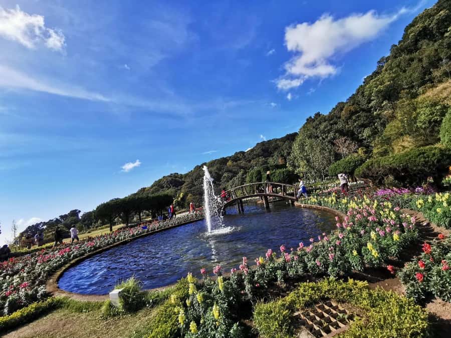 Pa Pong Piang Rice Terraces & Doi Inthanon National Park - Key points at a glance
