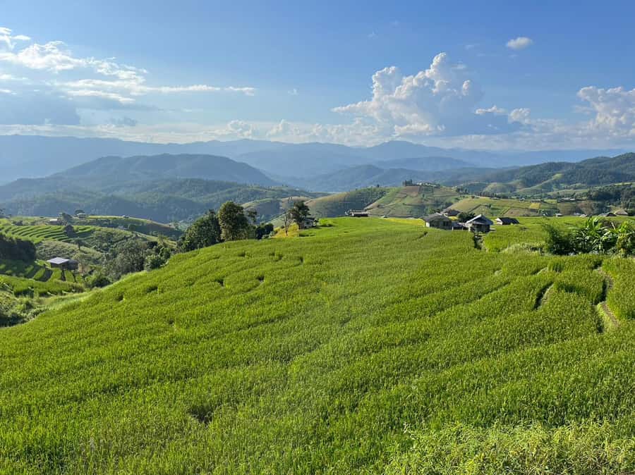 Pa Pong Piang Rice Terraces & Doi Inthanon National Park - Ban Mae Klang Luang and White Karen life