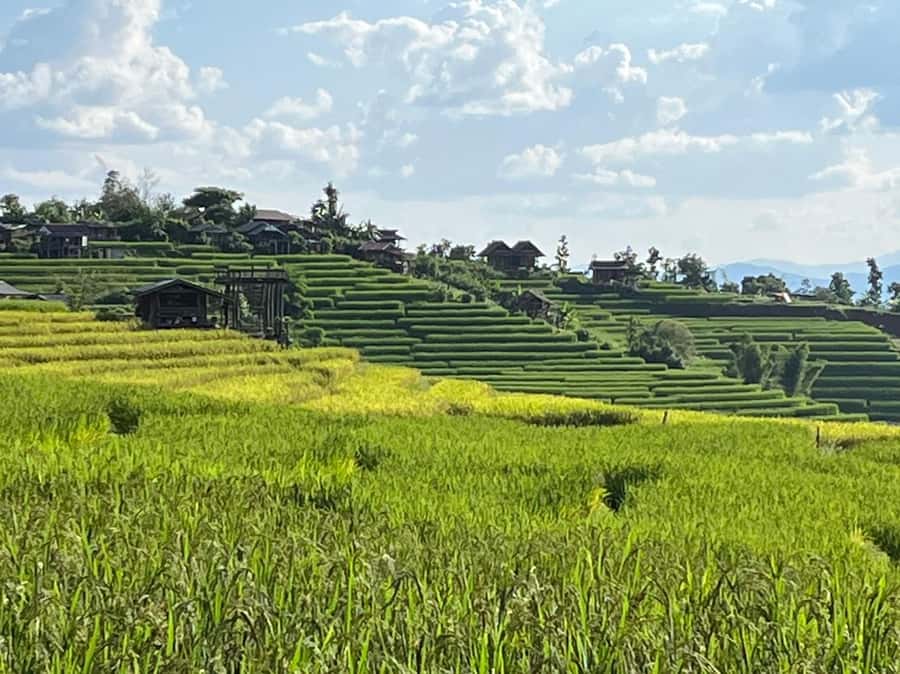 Pa Pong Piang Rice Terraces & Doi Inthanon National Park - The long private drive from Chiang Mai