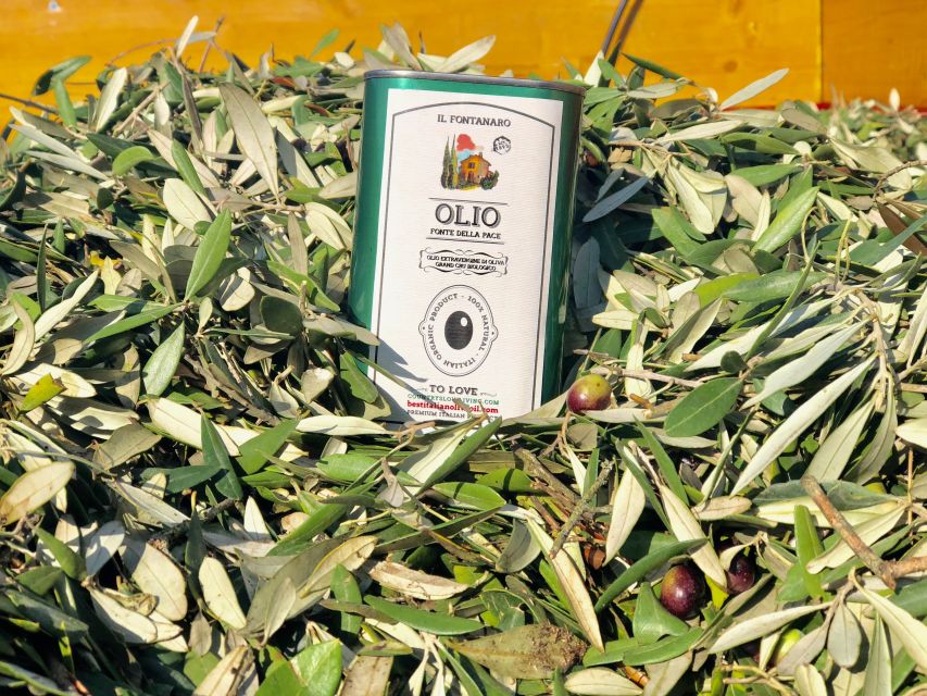 Paciano: Organic Cooking Class at a Farm with Lunch & Wine - Getting there and planning the day