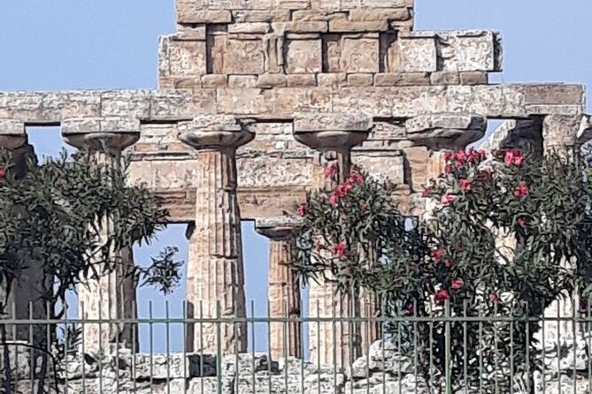 Paestum and Buffalo Farm Day Tour from Sorrento - Why Paestum is worth the long ride from Sorrento