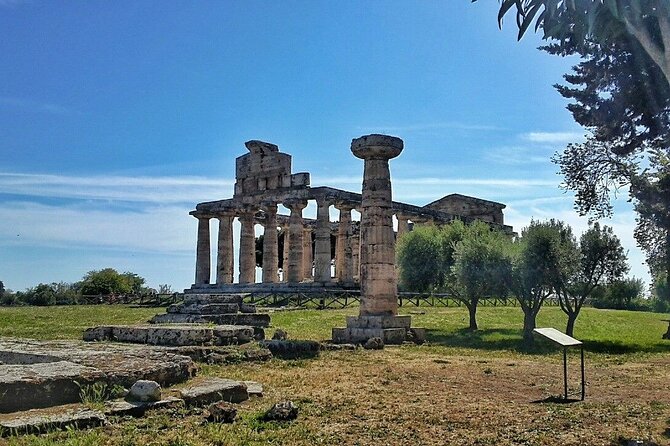 Paestum and Buffalo Farm Day Tour from Sorrento - A two-hour visit among Paestum’s temples