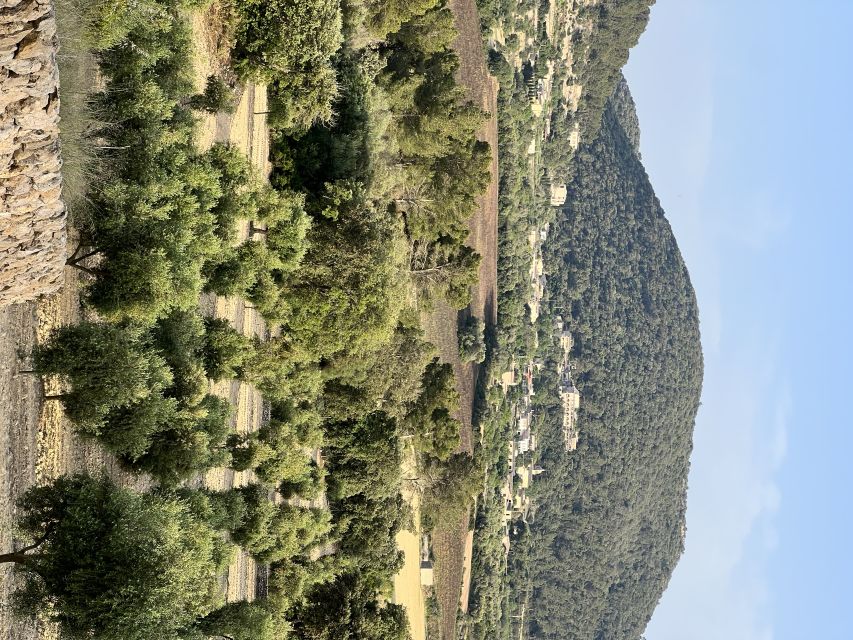 Palma: Orange Valley Vintage Train and Orange Farm Tour - Why the vintage railway makes this day different