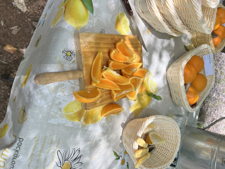 Palma: Orange Valley Vintage Train and Orange Farm Tour - FAQ