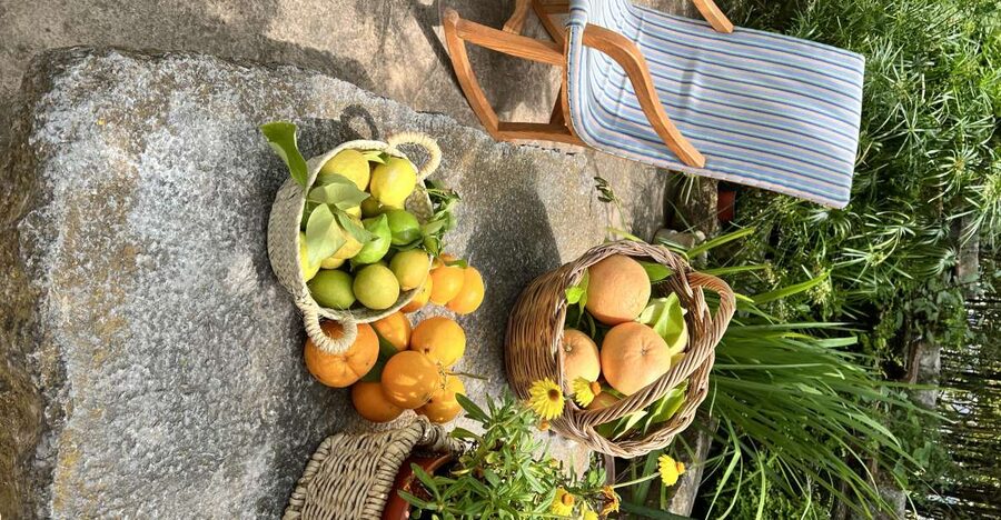 Palma: Orange Valley Vintage Train and Orange Farm Tour - The short transfer to Sóller’s orange country
