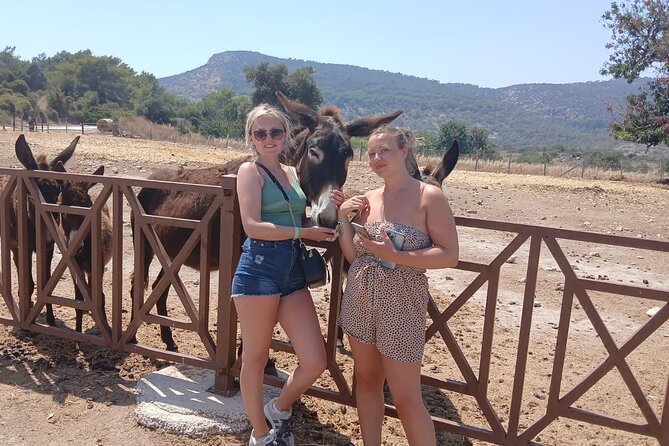 Paphos: Akamas Gorge & Turtle Bay & Donkey Farm Jeep Safari Tour - Key points at a glance