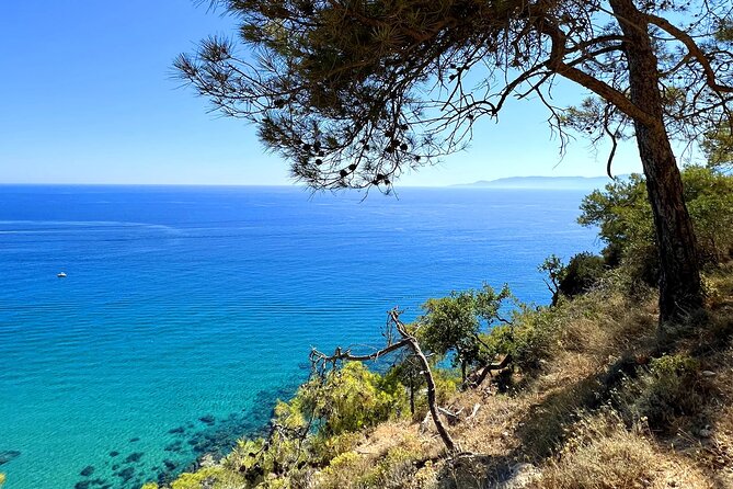 Paphos: Akamas Gorge & Turtle Bay & Donkey Farm Jeep Safari Tour - Walking into Avakas Gorge