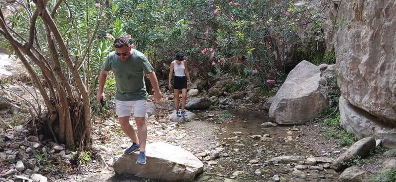 Paphos: Avakas Gorge & Turtle Bay Jeep Tour with Donkey Farm - Avakas Gorge is the tour’s best walk