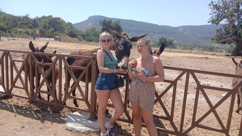Paphos: Avakas Gorge & Turtle Bay Jeep Tour with Donkey Farm - Latchi Harbour is your practical lunch break