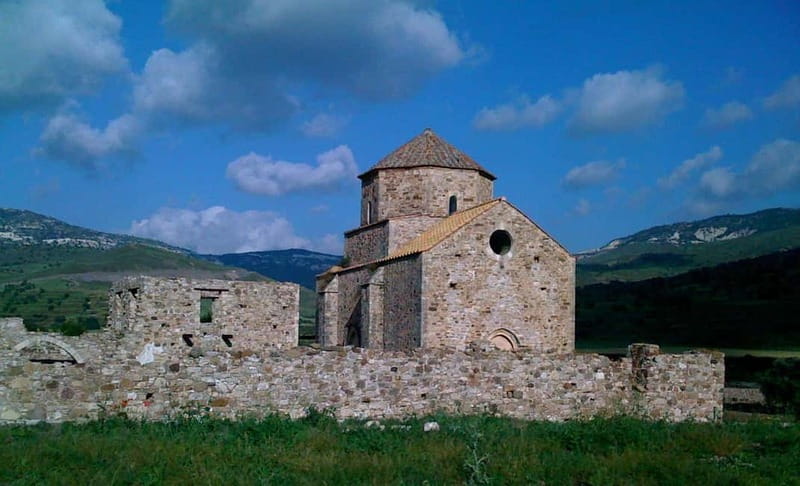Paphos/Limassol: Donkey Farm Day Trip with Lunch & Tastings - Tasting Cyprus before lunch