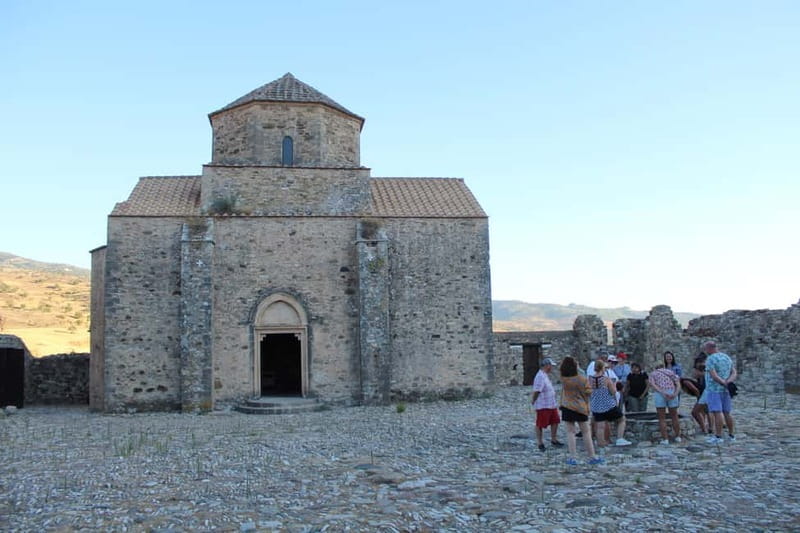 Paphos/Limassol: Donkey Farm Day Trip with Lunch & Tastings - A BBQ lunch with village flavors
