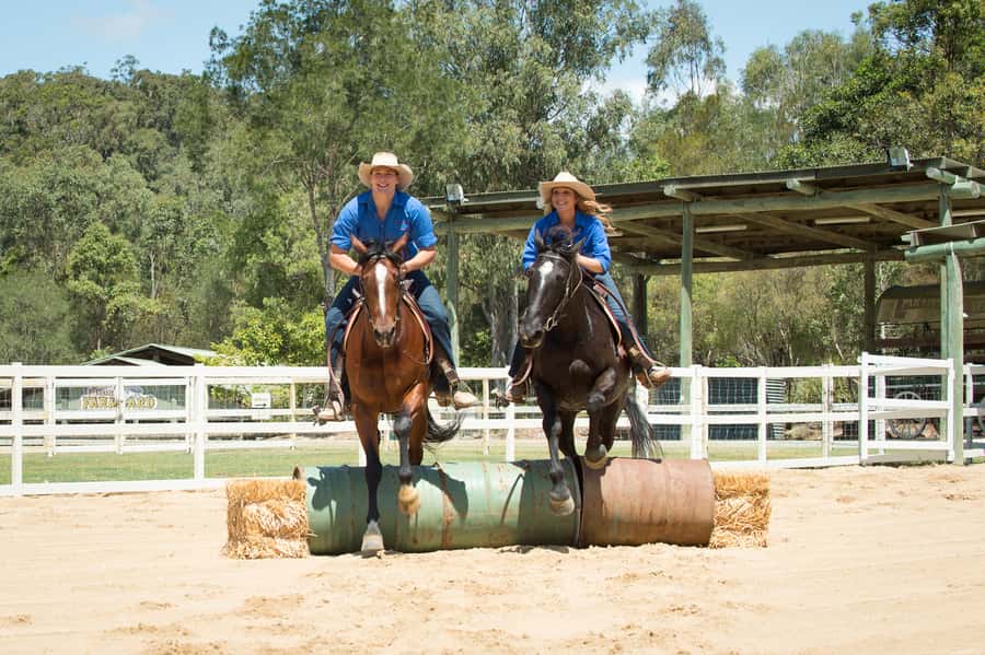 Paradise Country: Ultimate Aussie Farm Experience - Sheep herding and the stockman shows