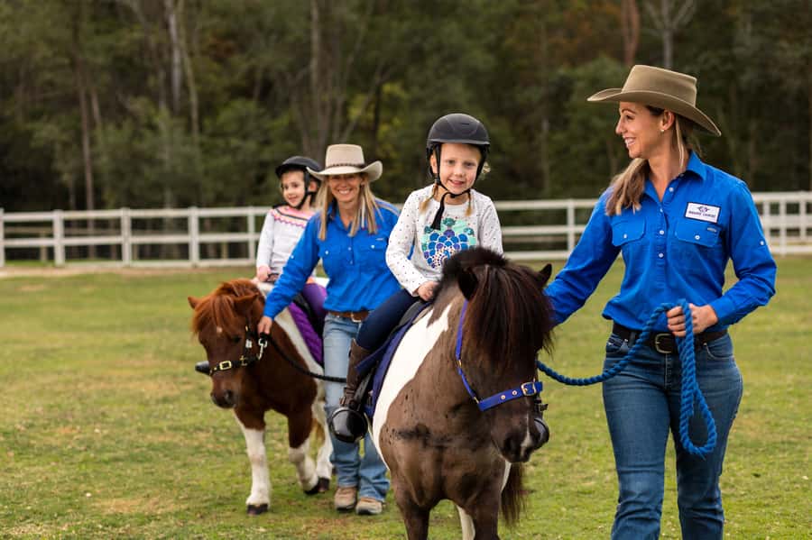Paradise Country: Ultimate Aussie Farm Experience - Is $41 good value?