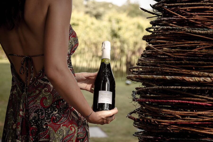 PARCO DELLA FILANDETTA WINE & ART FARM : ART&NATURE TOUR - Who will enjoy this most?