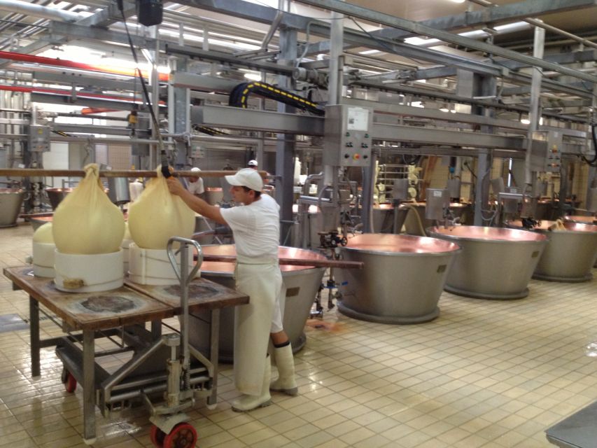 Parma: Parmigiano Reggiano Farm Tour & Tasting with Transfer - Watching milk become Parmigiano-Reggiano
