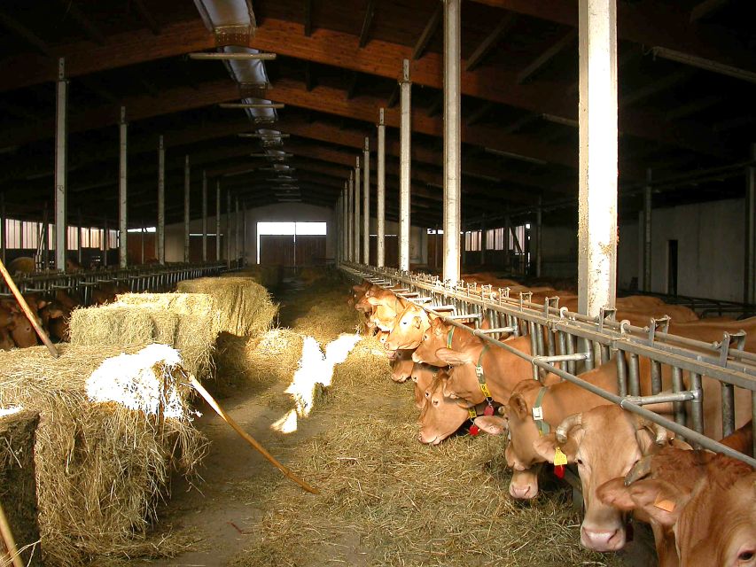 Parma: Parmigiano Reggiano Farm Tour & Tasting with Transfer - What the $91 price includes
