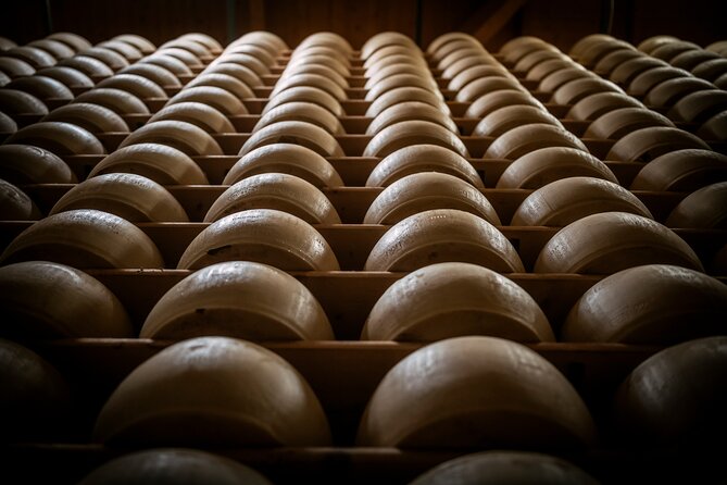 Parmigiano and Culatello Private Tour with Lunch and Farm Visit - Why this Parma food tour is different