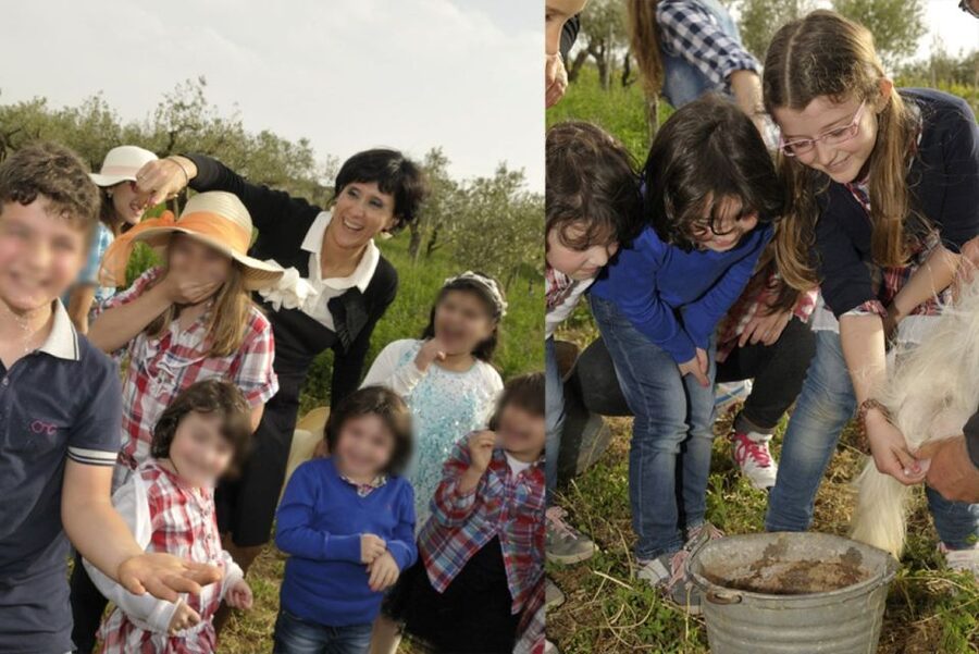 Partinico: Farm's Animals and Aromatic Garden Experience - Key points at a glance