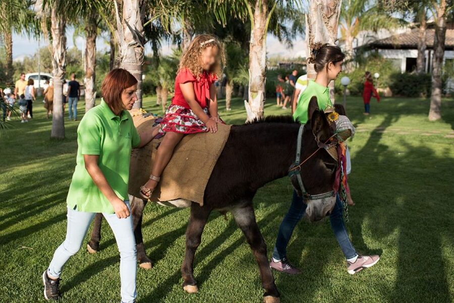 Partinico: Farm's Animals and Aromatic Garden Experience - A Sicilian farm visit with plenty to do