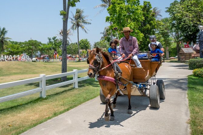 Pattaya sheep Farm Entrance Tickets - Feeding sheep and meeting the smaller animals
