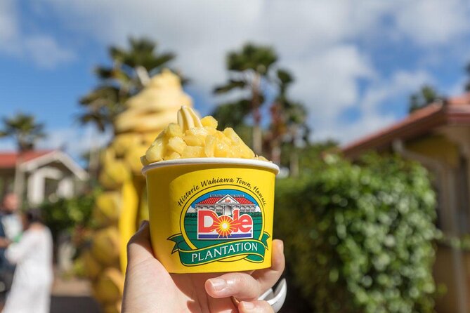 Pearl Harbor, Dole Plantation, and Polynesian Center from Waikiki - One long day across Oahu