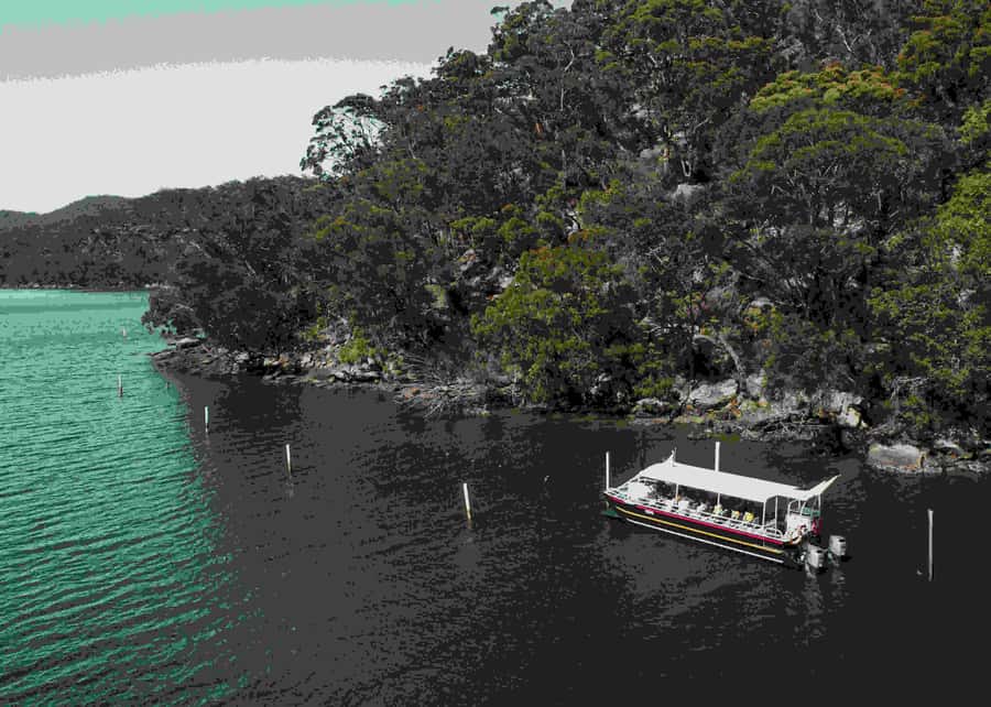 Pearl & Oyster Farm Hawkesbury River Cruise - Key points at a glance