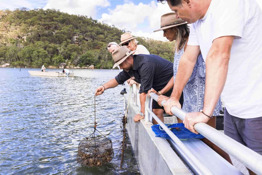 Pearl & Oyster Farm Hawkesbury River Cruise - What makes the Hawkesbury oyster cruise worth your time