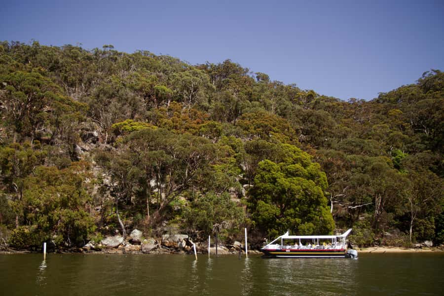 Pearl & Oyster Farm Hawkesbury River Cruise - Who will enjoy this farm cruise most