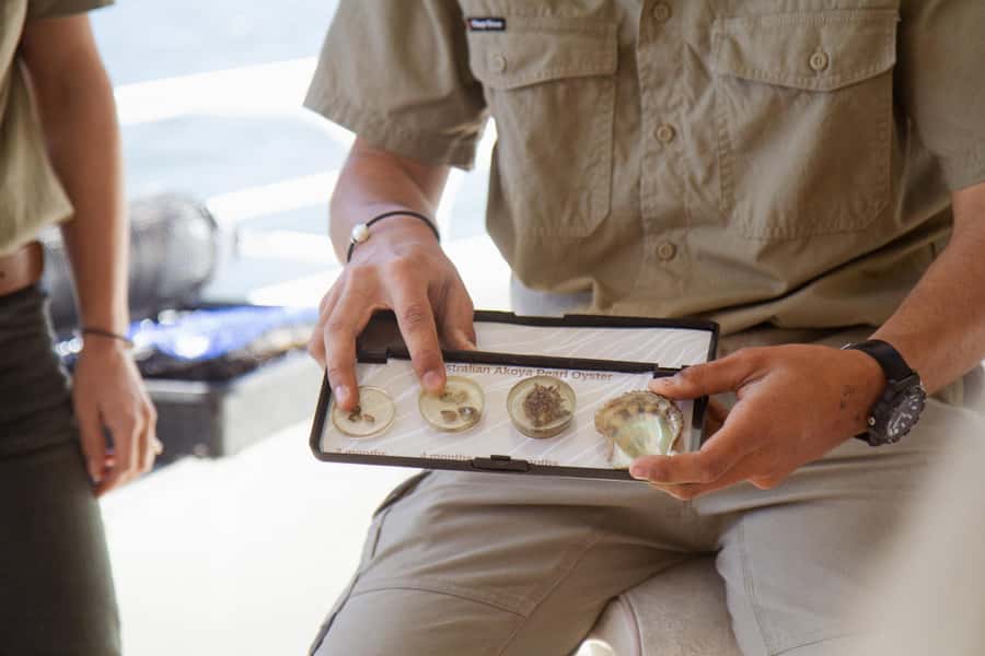 Pearl & Oyster Farm Hawkesbury River Cruise - Should you book the Broken Bay Pearl Farm cruise?
