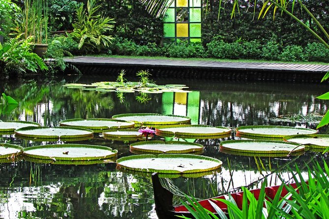 Penang Round Island Tour With Tropical Spice Garden & Entopia Butterfly Farm - Why this five-hour route works