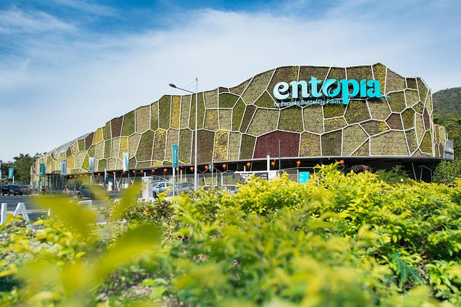 Penang Round Island Tour With Tropical Spice Garden & Entopia Butterfly Farm - What the $91 price means