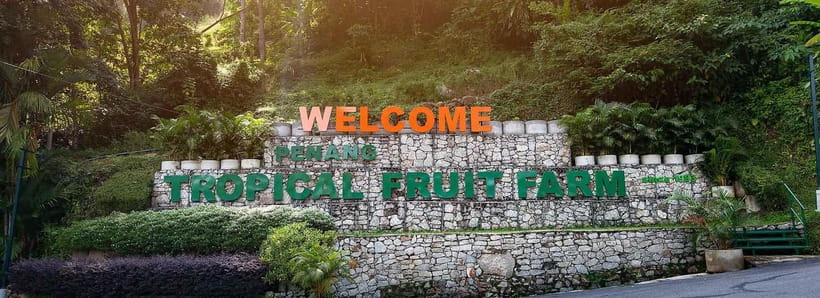 Penang: Tropical Fruit Farm Ticket - What happens during the 30-minute guided tour