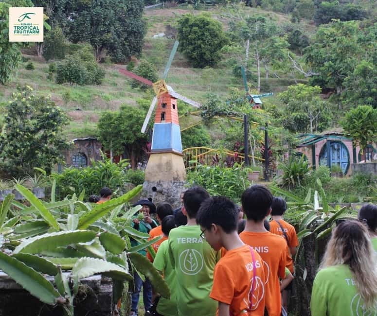 Penang: Tropical Fruit Farm Ticket - Seeing more than familiar Malaysian fruit