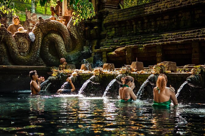 Penglipuran Traditional Village Tour with Swing, Rice Terrace, and Temple - Tegalalang Rice Terrace, 30 minutes of classic Bali scenery